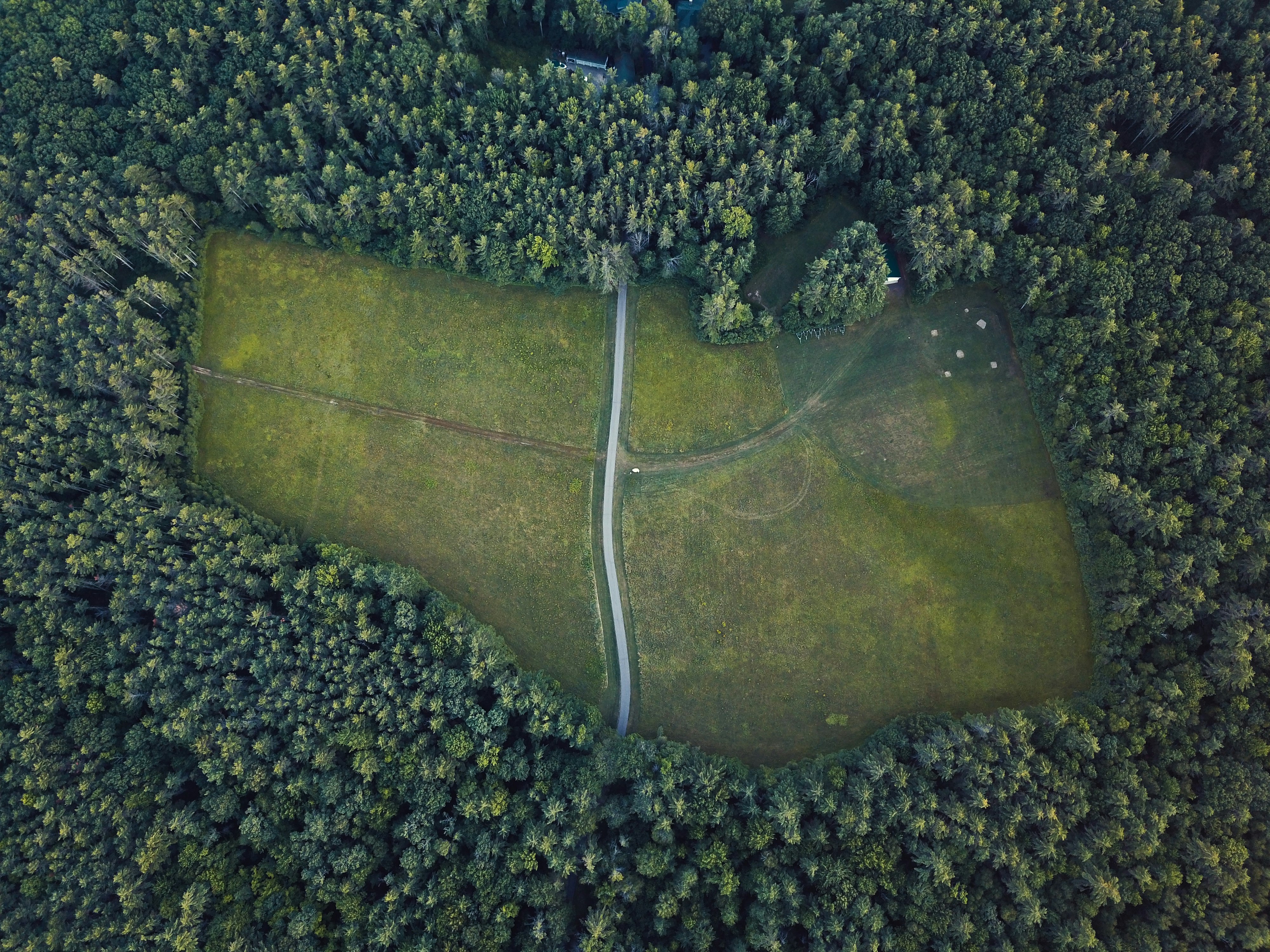 areal view of green leafed tree lot